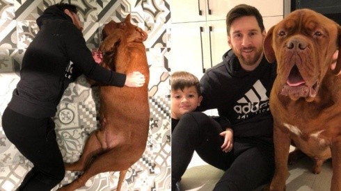 El perro de Messi y Antonella Roccuzzo la pasa mejor que nosotros