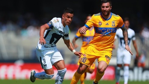 Pumas vs Tigres (Foto: Getty)