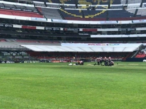 Medidas extremas: cambian el pasto del Azteca para que no se cancele la NFL en México