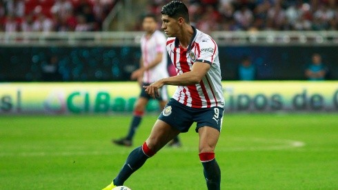 Higuera confirmó que Alan Pulido seguirá en el Guadalajara.