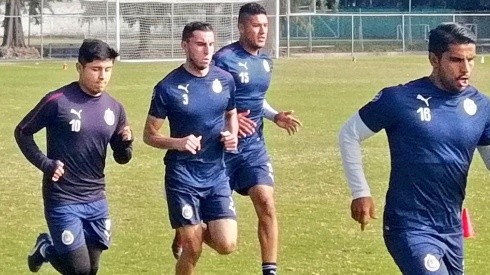 Tony Alfaro reforzará a Chivas para el Clausura 2019.