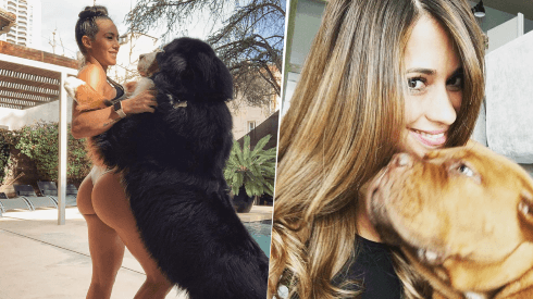 Antonella Roccuzzo no está sóla: la novia de Ocampos también tiene un perro como la familia Messi