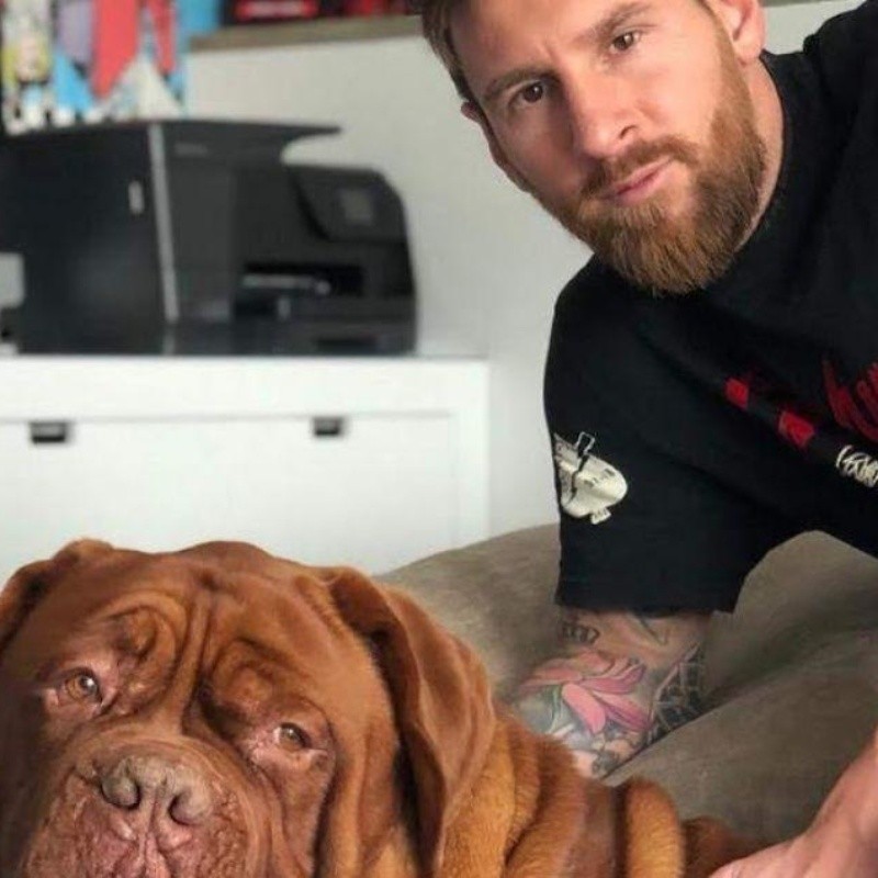 Es un león: Messi mostró en Instagram lo gigante que está su perro Hulk