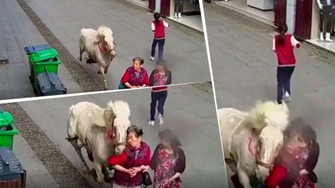 Video trágico: salió a pasear por la calle y la terminó atropellando un caballo asustado