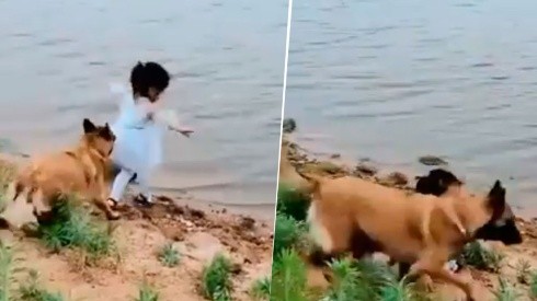 Video viral: la niña quería recuperar su juguete y lo que hizo su perro enamoró a todos
