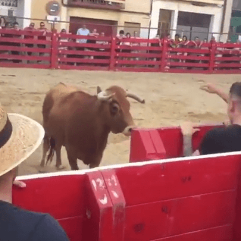 Se burlaba del toro y el animal, en modo diabólico, le metió un cabezazo hermoso