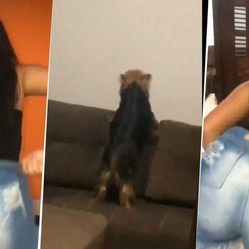 Video viral: ella estaba bailando, pero nunca pensó que su perro diabólico la imitaría