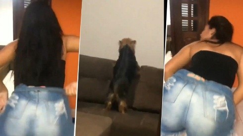 Video viral: ella estaba bailando, pero nunca pensó que su perro diabólico la imitaría