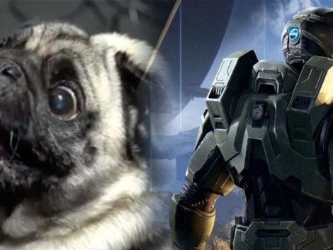 ¡No podemos más! En HALO Infinite contrataron un perro para hacer los efectos de sonido alienígena