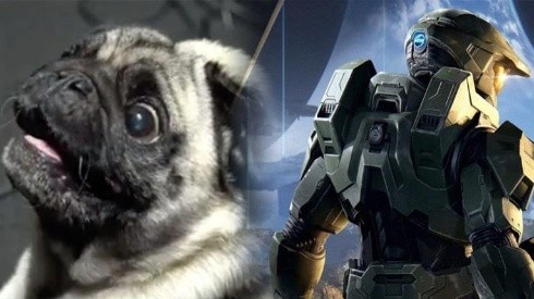 ¡No podemos más! En HALO Infinite contrataron un perro para hacer los efectos de sonido alienígena