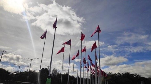 Banderas rosas adornan Ciudad Universitaria