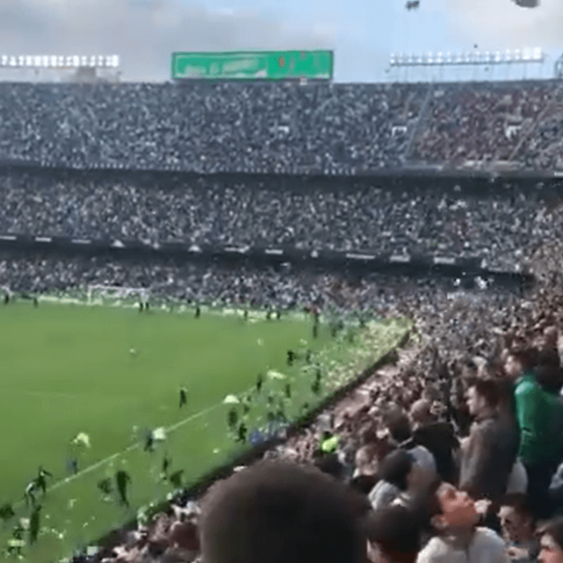 Gran gesto: la hinchada del Betis tiró peluches a la cancha para donarlos