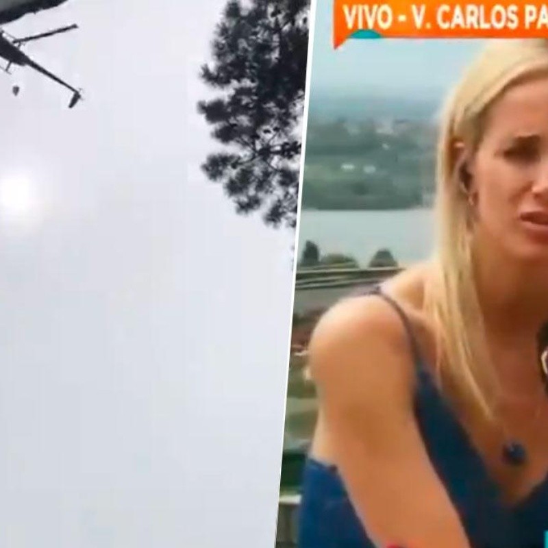 Julieta Prandi sobre el cerdo que tiraron a la pileta: "Me recordó a la dictadura"