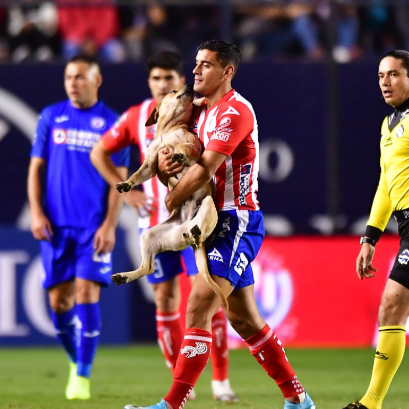 Un intruso interrumpió Atlético San Luis vs. Cruz Azul