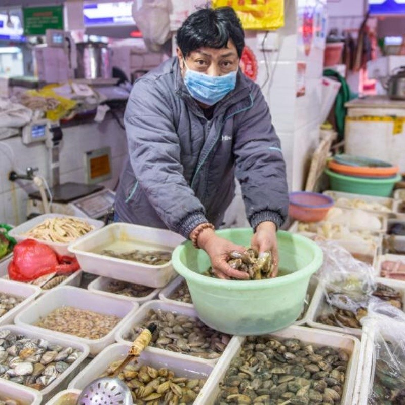 Volvieron a vender murciélagos en el lugar donde se originó el coronavirus