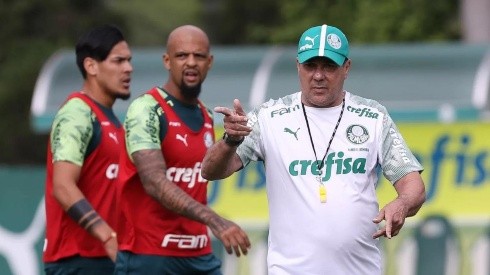 Foto: Cesar Greco / Ag Palmeiras