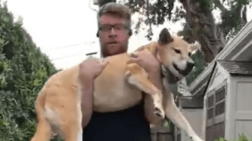 El entrenamiento con perros y libros de un campeón de la Serie Mundial