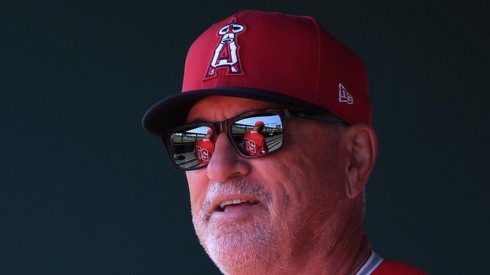 Joe Maddon ya sabe cuándo puede empezar la temporada