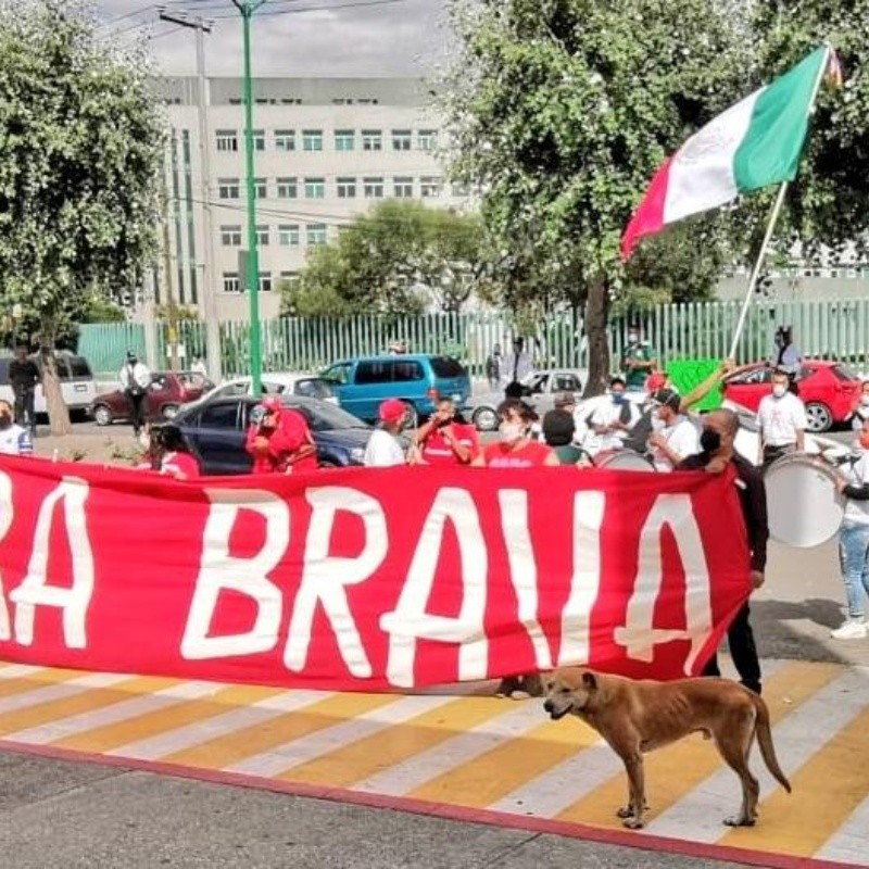 ¡Enorme! El gesto de la Perra Brava con personal médico de Toluca