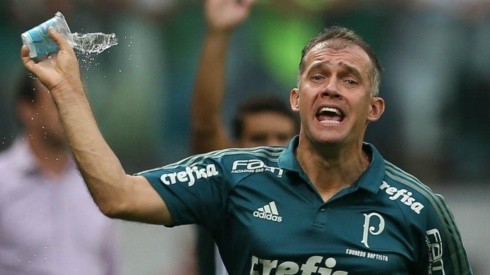 Foto: Cesar Greco/Palmeiras.