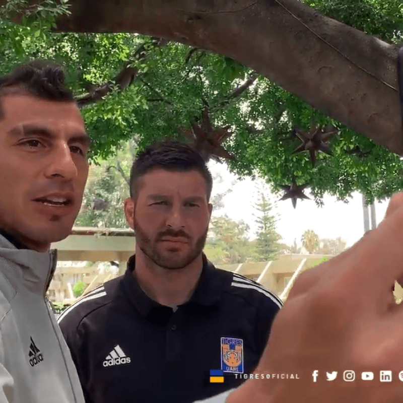 Para aplaudir: el hermoso gesto de Guzmán y Gignac con una fanática de Tigres