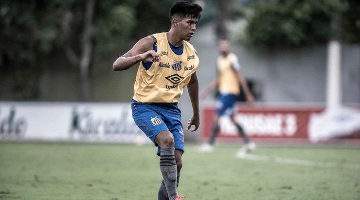 Ivonei: jovem opção para o meio (Foto: Ivan Storti/Santos FC/Divulgação)