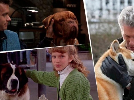Las 10 mejores películas sobre perros