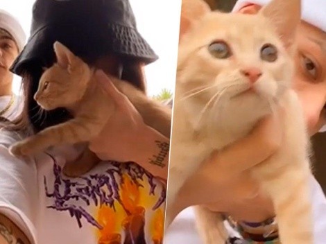 Los amamos: Nicki Nicole, Trueno, un gato y el mejor video del día