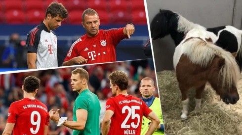 Müller se burló de su DT y compañeros comparándolos con caballos