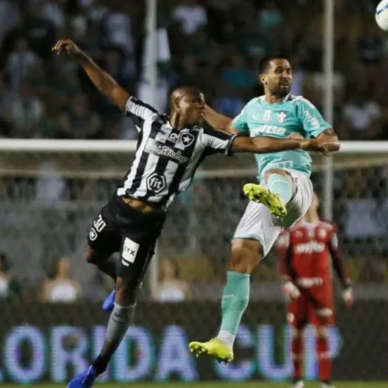 Botafogo x Palmeiras: Como, quando e onde assistir a partida desta quarta