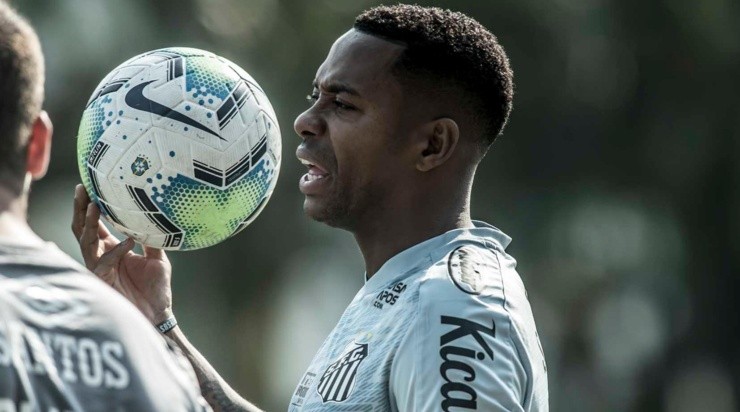 Robinho teve seu contrato suspenso pelo Santos (Foto: Ivan Storti/Santos FC)