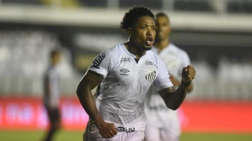 De volta ao time: Marinho pode voltar contra o Flu (Foto: Ivan Storti/Santos FC/Divulgação)