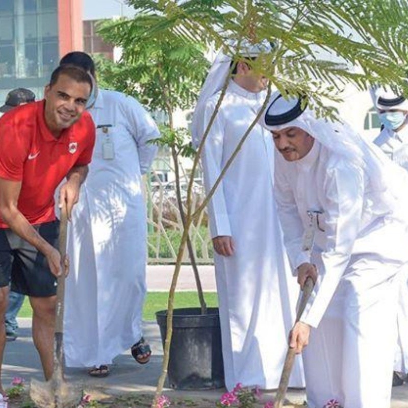 Mercado subió foto plantando un árbol y Pezzella no lo perdonó