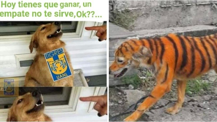 No los perdonan: los memes anti Tigres inundaron las redes