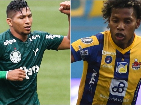 Palmeiras x Delfín: saiba como assistir ao jogo decisivo AO VIVO