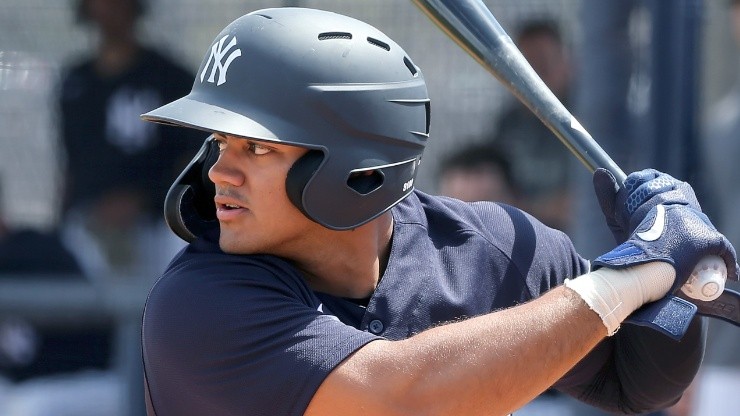 Jasson Domínguez, prospecto de los Yankees