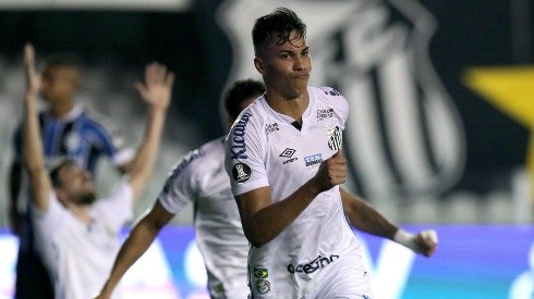 Vasco e Santos duelam neste domingo, às 16h, em São Januário, pelo Campeonato Brasileiro Série A - (Getty Images)