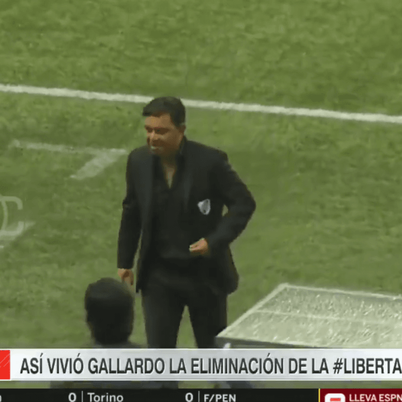 La reacción de Gallardo cuando no dieron el penal a Matías Suárez