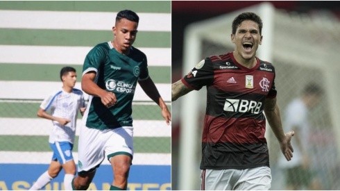 Goiás x Flamengo: hora e em quais canais ver AO VIVO e ONLINE