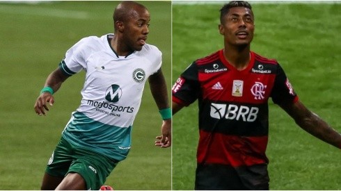 Goiás x Flamengo: como assistir essa grande partida AO VIVO na TV e ONLINE