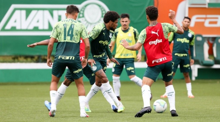 Palmeiras não irá priorizar nenhum torneio de acordo com Edu Dracena. Foto: César Greco