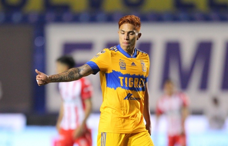 Carlos Salcedo Tigres