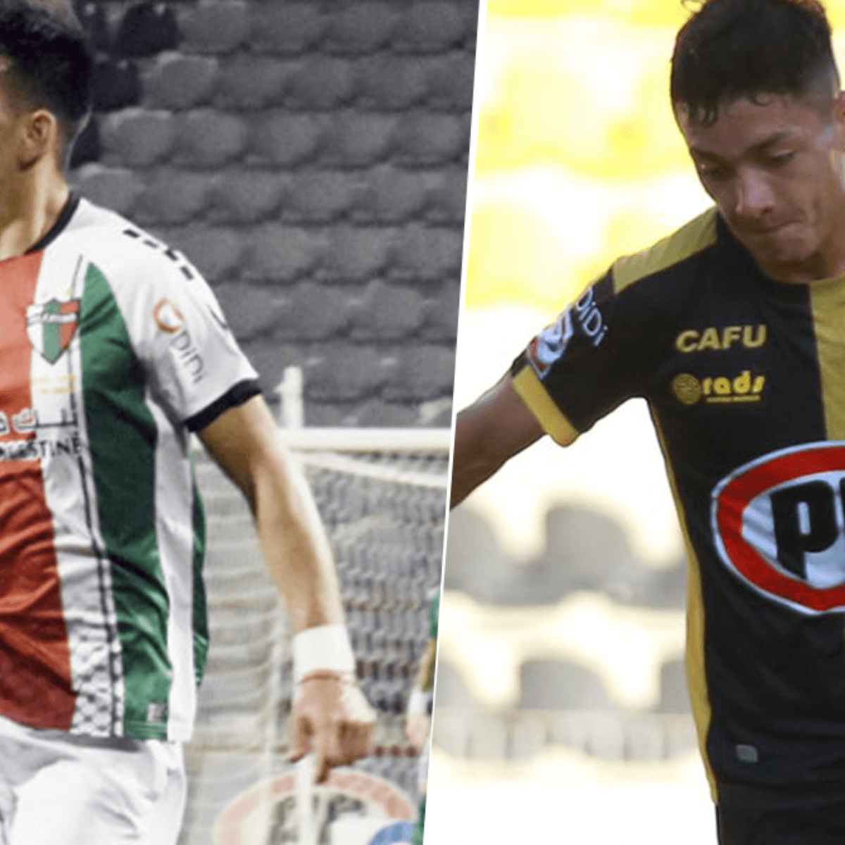 Palestino Vs Coquimbo Unido En Vivo Y En Directo Por La Liga De Chile Horario Via Tnt Sports 2 Tnt Sports Hd Y Estadio Tnt Sports Bolavip