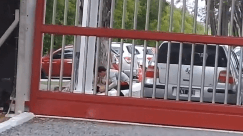 Es furor: el video de Nacho Fernández despidiéndose de un perrito