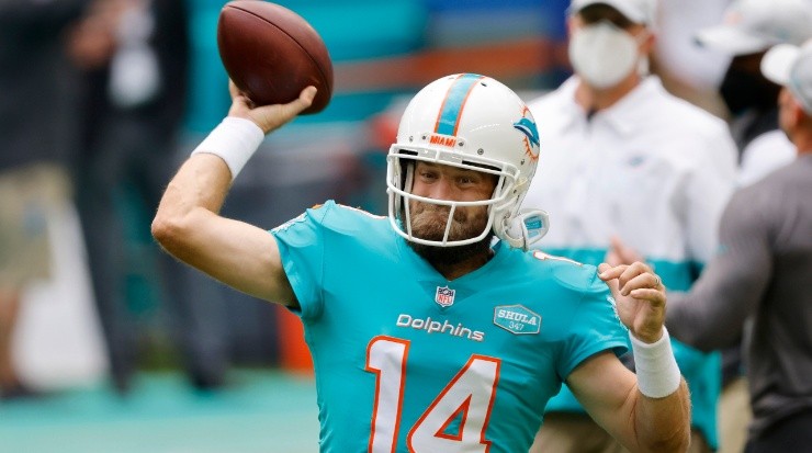Dolphins&#039; FitzMagic became more beloved by fans (Getty).