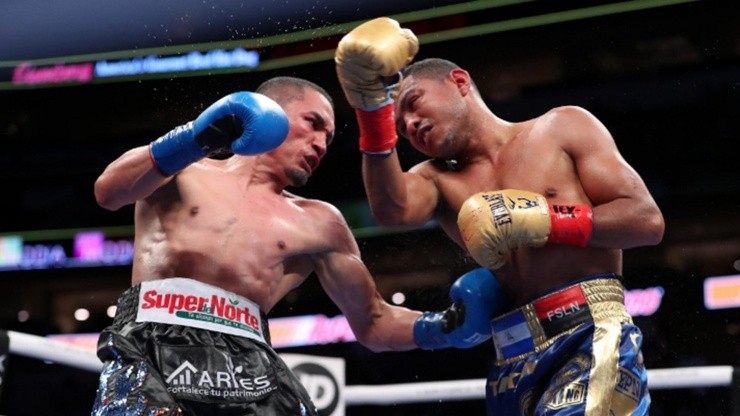 Gallo Estrada vs Chocolatito González: ¡Este año habrá trilogía!