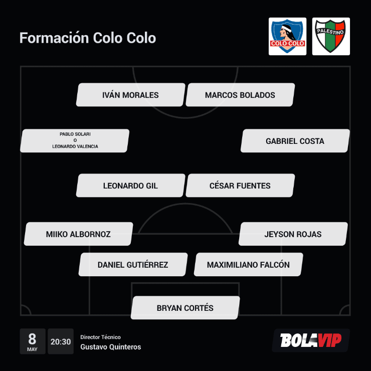 Formación Colo Colo Palestino