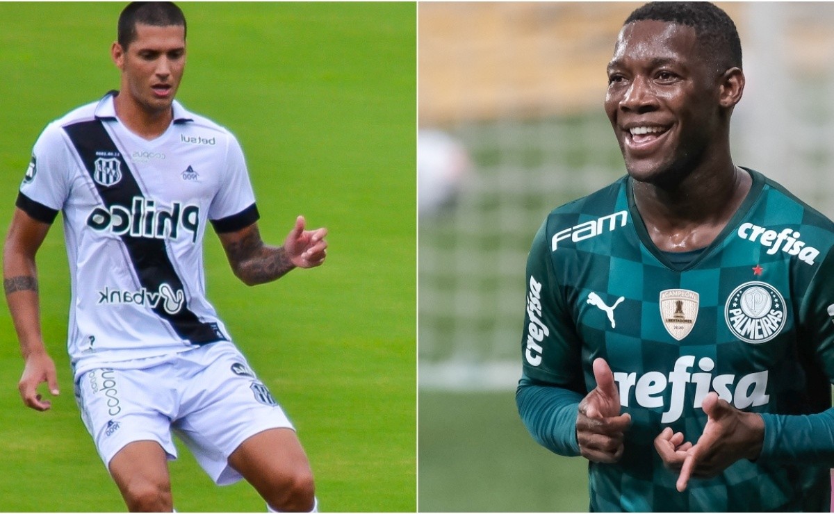 [Palmeiras X Ponte Preta]: Onde Assistir AO VIVO E ON LINE Esse Jogo ...