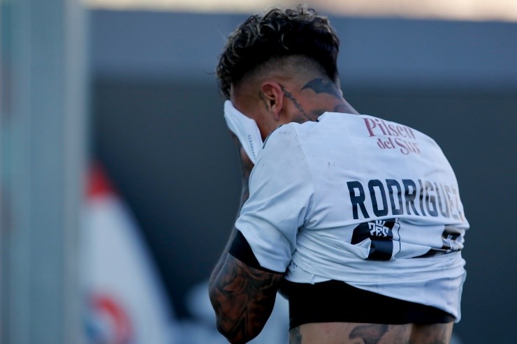 Martín Rodríguez Colo Colo