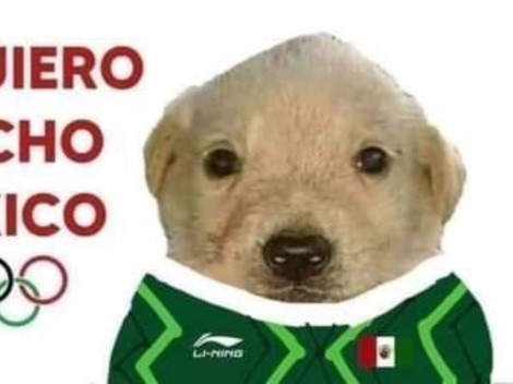 "Los queremos mucho": Mejores memes del perrito que apoya a los atletas olímpicos
